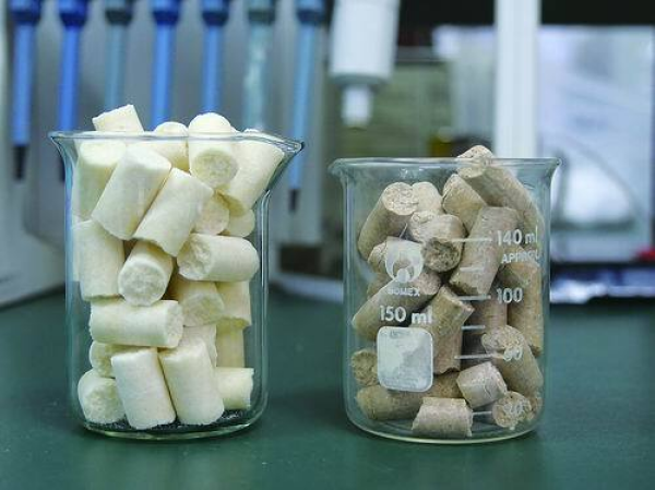 中国科学报】实验小鼠吃什么？他们质疑50年“金标准”
